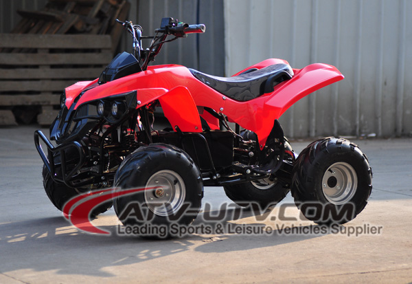 Shaft Drive NEW CE Approved 800W Electric Differential Quads Bike (ATV) with Reverse Gearshift